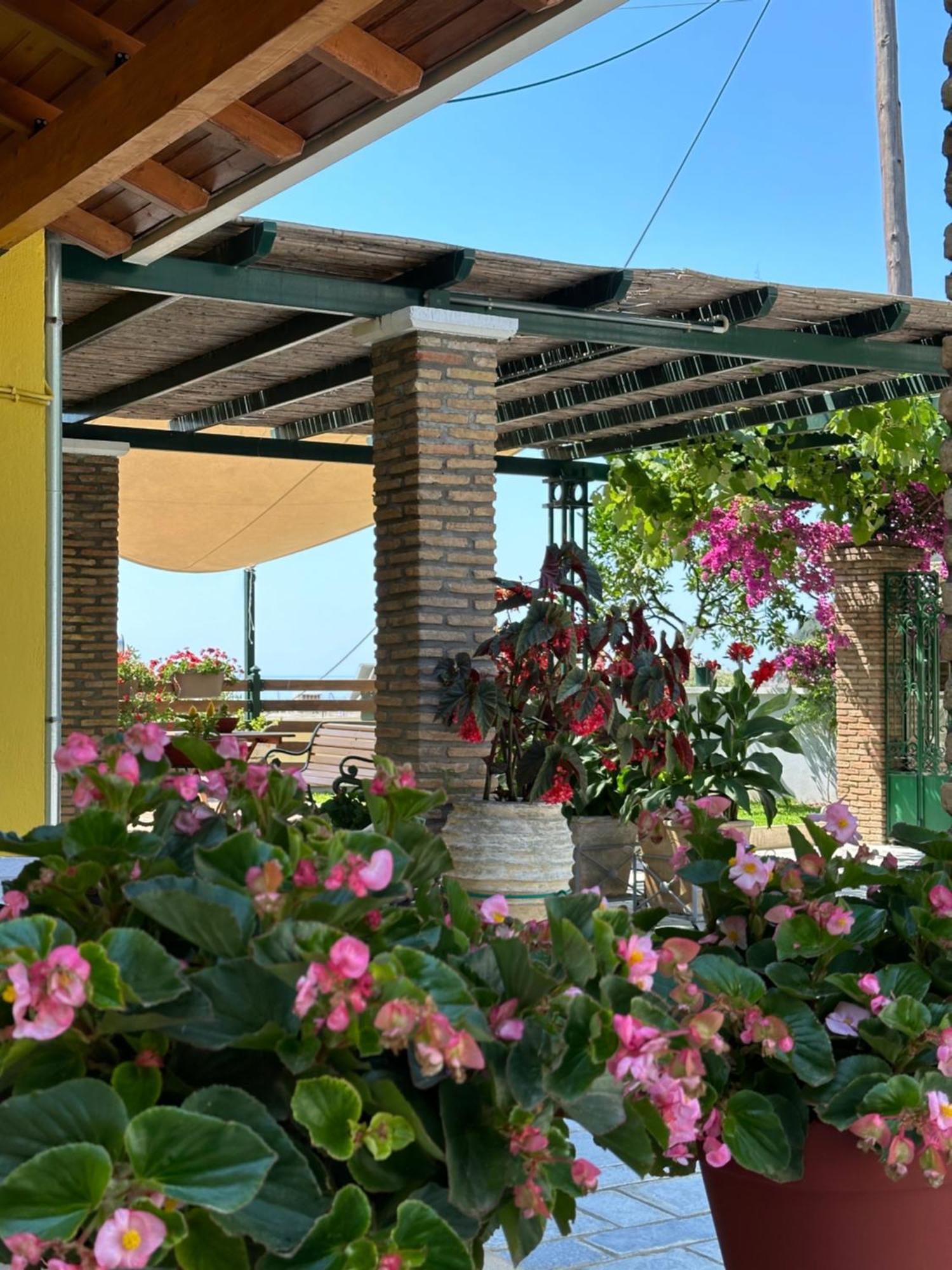 Villa Sofia Parga Exterior foto
